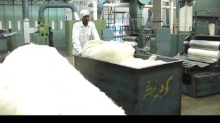 Nagina Cotton Mills Comber Noil Process [upl. by Chemarin]