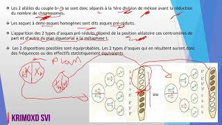 Génétique des Haploïdes SVI S4 chapitre 1part1 [upl. by Eiramannod91]