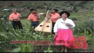 Dulce pampinita  TEMA itañachay [upl. by Gayleen]