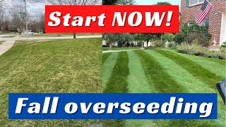 Lawn Overseeding In Fall How YOU Can Transform Your Lawn [upl. by Hannavahs]