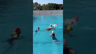 Water polo game weekly once fun🥳 swimming waterpolo tamil [upl. by Dnomde]