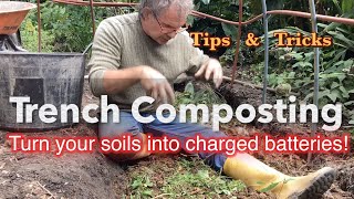 Trench composting is way better than notill cardboard layering for your soil soilboosting notill [upl. by Teyugn]