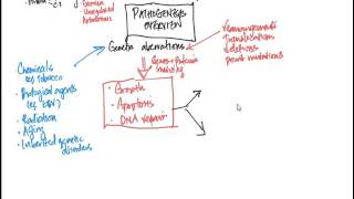 Neoplasia 3 Pathogenesis [upl. by Lorens]