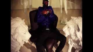 Fally Ipupa  Nyokalessé Clip Officiel [upl. by Yreffeg]