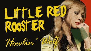 Howlin Wolf  Little Red Rooster The Lady Shelters cover [upl. by Kore]