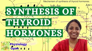 Thyroid hormone synthesis physiology  Endocrine system physiology mbbs 1st year lecture [upl. by Canty]