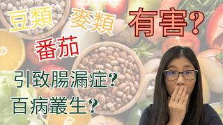 植物食物含毒素 Lectin 凝集素是甚麼  如何去除凝集素  營養師媽媽Priscilla 粵語中文字幕 [upl. by Jt877]