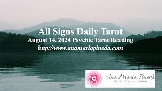 All Signs Daily Psychic Tarot Reading quotThe Answer Is Clearquot August 14 2024 [upl. by Eilagam]