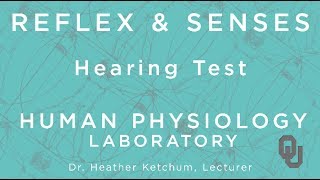 Hearing Test for Students  Reflex amp Senses  Human Physiology  Dr Ketchum  OU [upl. by Nate]