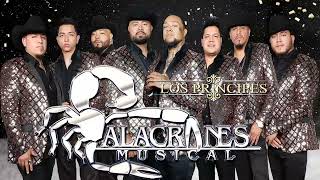 Alacranes Musical  Duranguense Mix 2022 10 Exitos De Oro [upl. by Onifur]