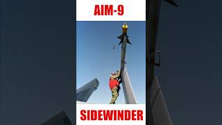 Aim9 Sidewinder [upl. by Pattison64]