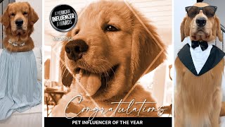 I Won Pet Influencer of the Year [upl. by Pen]