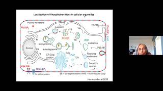 Courier Service for phosphatidylinositol PITPs deliver on demand  March 29th 2021 [upl. by Garzon]