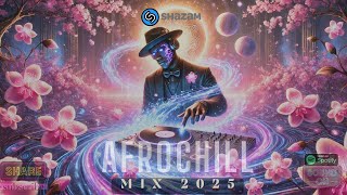 🌊Afro Chill Mix 2025  Lofi Afrobeats To Relax Study Work [upl. by Haduhey]