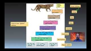 Taxonomy Phylogeny and Systematics [upl. by Ansela]