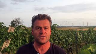 Austrias Carnuntum wine region with Gerhard Markowitsch [upl. by Friedland]