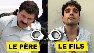 MEXIQUE  ARRESTATION DU FILS DU TRAFIQUANT DE DR0GUE« EL CHAPO » [upl. by Gaskin568]