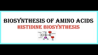 BIOSYNTHESIS OF AMINO ACIDSHistidine biosynthesis [upl. by Aroc]