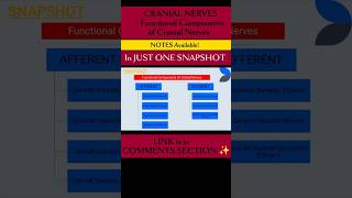 CRANIAL NERVES l Functional Components ✨ brainanatomy cranialnerves physiotherapyeducation neuro [upl. by Trinee]