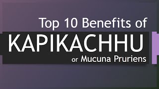 Top 10 Benefits of Kapikachhu  Health benefits of Kapikachhu  Herb Kapikachhu [upl. by Casady]