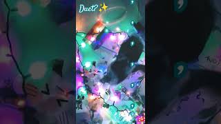 Duet music papercraft furry papperdragon songlyrics dinomask paperdragon musiclyrics [upl. by Savior]