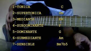 Teoría básica para principiantes  lección de guitarra [upl. by Anemolihp740]