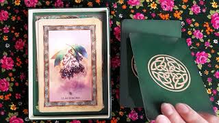 Celtic Tree Oracle Deck Review [upl. by Milas205]