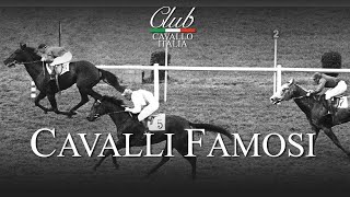 Cavalli famosi [upl. by Lehcim]