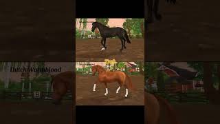 Belgian Warmblood vs Dutch Warmblood horsegame horse starstable starstableonline edit [upl. by Siuoleoj]