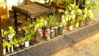 Small vegetable garden ideas [upl. by Rolland]