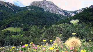 DOINA DIN BUCOVINA amp BATRANEASCA ☆ Caval Playing [upl. by Enywad]