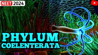 NonChordates PHYLUM COELENTERATA  Animal Kingdom  3D ANIMATION [upl. by Parnell]