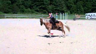 A girl and her horse compete in Gymkhana [upl. by Nrubliw]