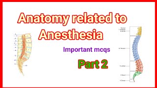 Anatomy related to anesthesia  important mcqs  part 2 anaesthesiawithbabar2576 [upl. by Jenine984]