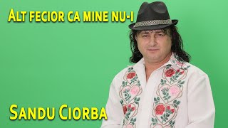 Sandu Ciorba  Alt fecior ca mine nui [upl. by Dnanidref730]