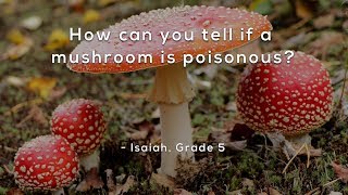 How can you tell if a mushroom is poisonous [upl. by Evreh486]