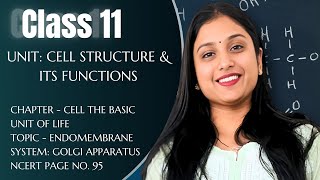 CLASS 11  CH8 CELL  GOLGI APPARATUS  NCERT PG 95  BY DIKSHA MAAM  NEET [upl. by Borek]