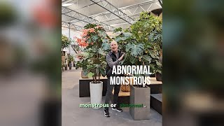 Monstera artificial plants [upl. by Anica]