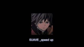 SUAVE tiktok remix speed up [upl. by Albina]