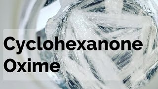 Cyclohexanone Oxime Organic Synthesis [upl. by Debby]