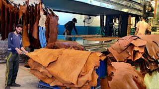 Amazing Process of Making Pure Leather from Cow Hides  Salted Skin Leather Made [upl. by Alliehs]