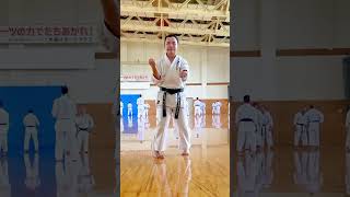 SANCHIN KATA GOJU RYU KARATE SEIWAKAI by Davy Wijaya Sensei [upl. by Suraved476]