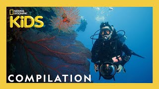 The BEST Jobs Ever  Nat Geo Explorers  25 Minute Compilation  natgeokids [upl. by Anahsor170]