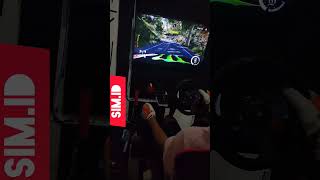 WRC 10  game simulator  rally [upl. by Dulcia]