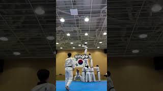 Do NOT Challenge a Taekwondo Master 🥷 [upl. by Hillman393]