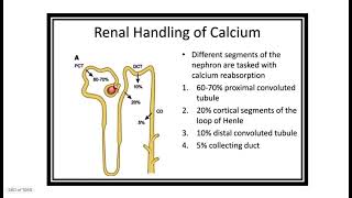 Nephron MRCS question solve CRACK MRCS [upl. by Wallford]