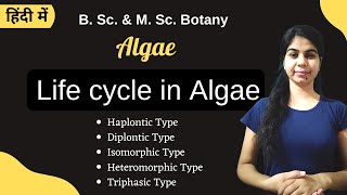 TYPES OF LIFECYCLE IN ALGAE  in Hindi  Botany  B Sc amp M Sc [upl. by Ithnan]