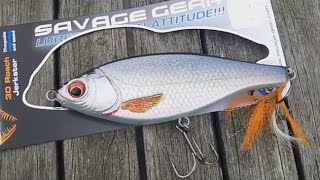 De nieuwe Savage Gear 3D Jerkster Jerkbait [upl. by Past388]