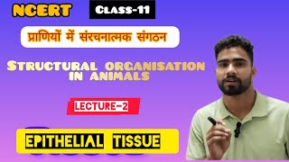 Epithelium Tissue ll Structural organisation in animals ll Lecture 2 [upl. by Kcira]