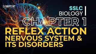 Class 10 Biology Chapter 1  Part 4 Reflex Action Nervous System amp Disorders [upl. by Zurek754]